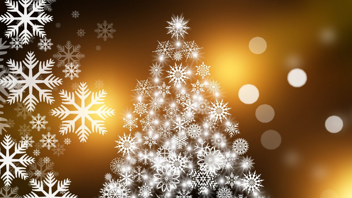 Die PH Selbsthilfe e.V. wünscht fröhliche Weihnachten und einen guten Rutsch ins Jahr 2021